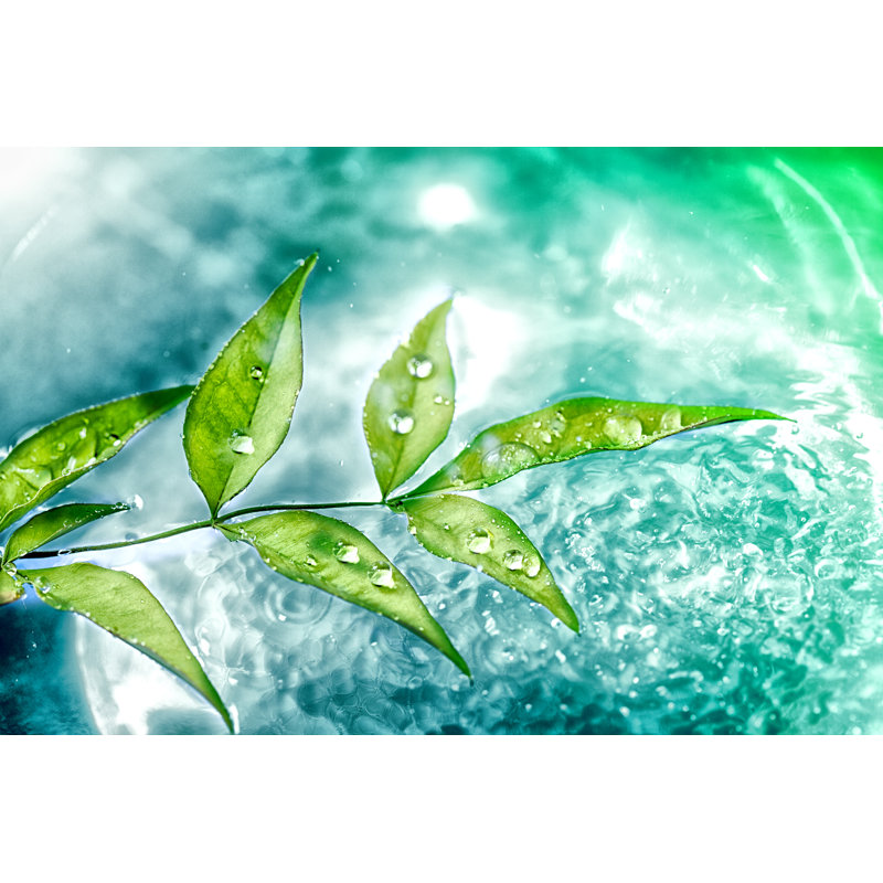 Green Leaf - Wrapped Canvas Print, 51cm H x 76cm W
