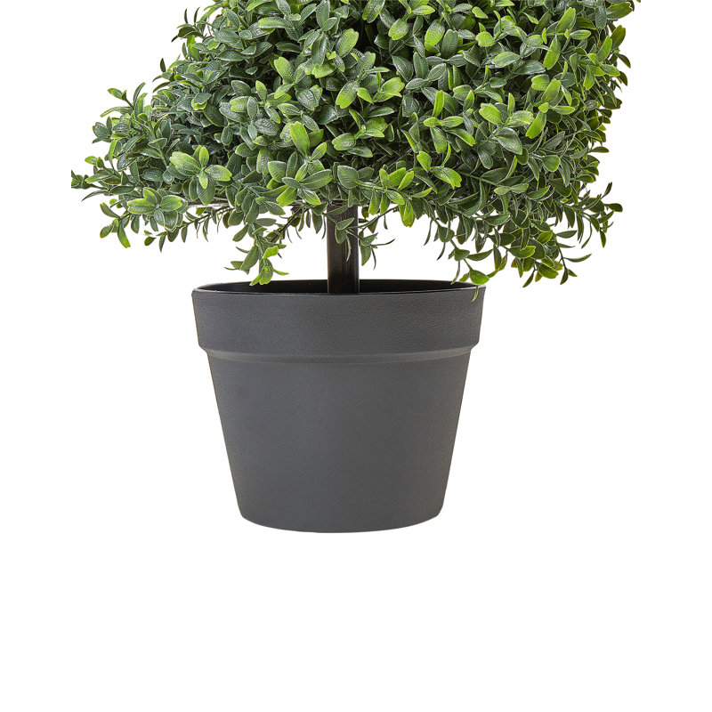 Faux Tree in Plastic / Acrylic Planter, 158cm H x 30cm W x 30cm D