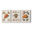 Collection de coquillages VII - ensemble de 3 reproductions d'art sur toile-1813018566-1813018561