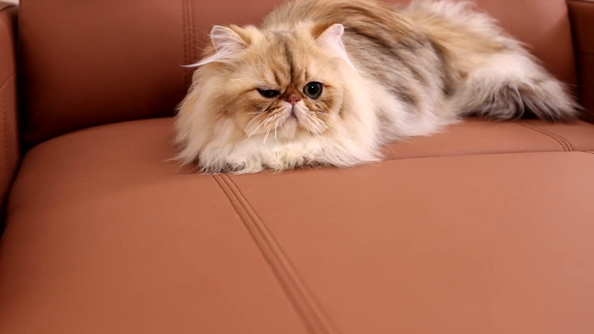 Latitude Run® Kofel Vegan Leather Chaise Lounge with Wireless