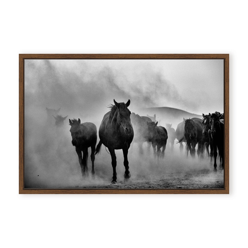 Nature Inspired Untitled by  - Picture Frame Photograph on Paper, 16" H x 24" W x 1.125" D, Black, Framed Matted Print