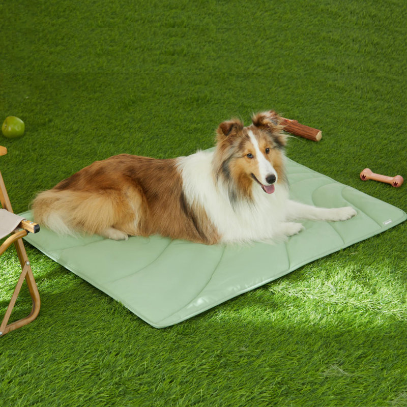 Tapis de voyage en nylon pour chien, Vert pâle