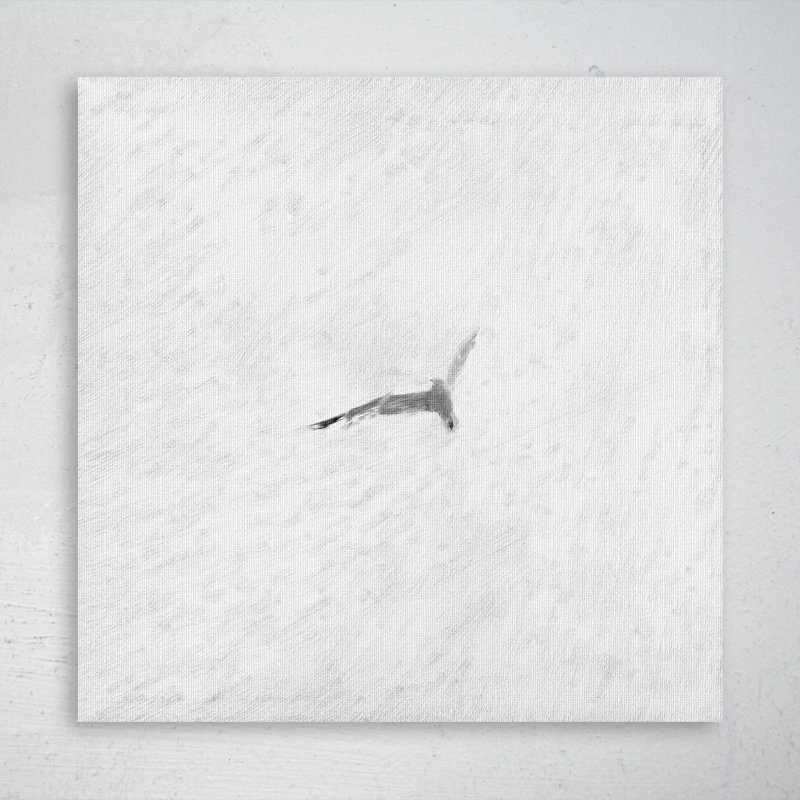 «White Bird Flying In The Sky 2», reproduction d'art rectangulaire sur toile tendue 1 pièce, H 12 po x l 12 po x P 2 po