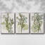 Coral Blockprint I - Ensemble de 3 reproductions de cadres photo sur toile-97754124-97754128