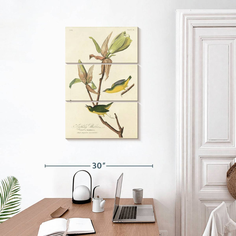 Brampt Kentucky Warbler, 32" H x 20" W