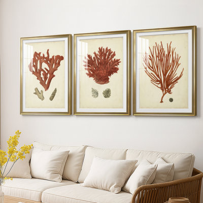 Antique Red Coral II  -Custom Framed  Premium Print W Matt - 3 Pieces