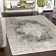Radtke Oriental Indoor Rug
