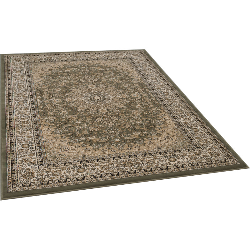 Oriental Area Rug in Green/Brown