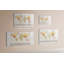 Magnetic Glass Dry Erase Board