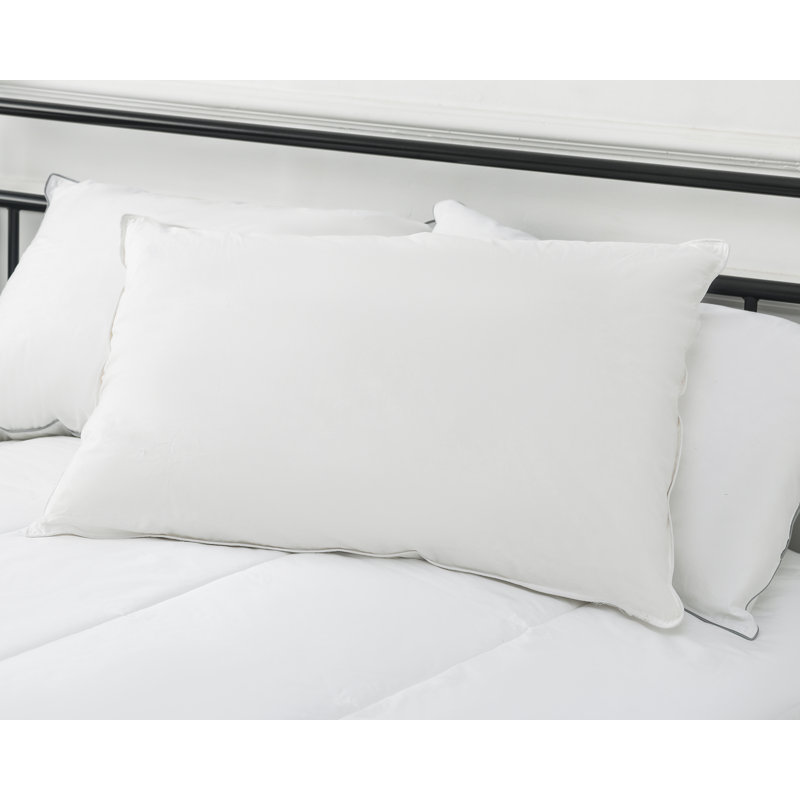 Oreiller en duvet et plumes de canard Gayla, Grand