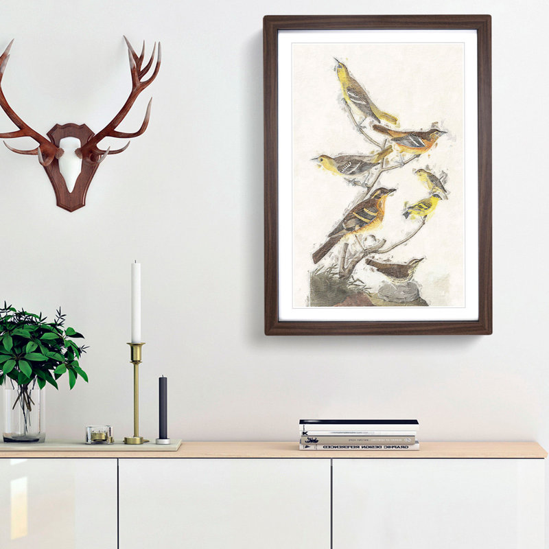 A Collection of Birds by John Audubon - Framed Print, 33cm H x 24cm W x 2cm D, Walnut Framed