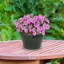 Jardinière extérieure Berlina-1292973038-1293001908