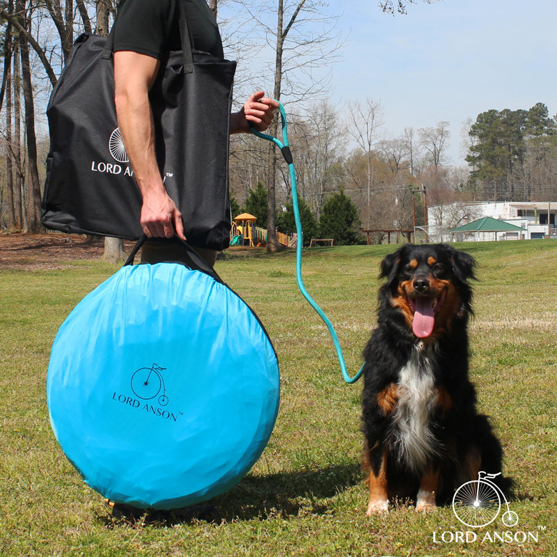 Adjustable Blue Dog Agility Training Set with Tunnel and Poles