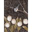 «Red Barrel Studio® Reynolds, Jade», art sur toile tendue: Mésange et tulipes II-51879023