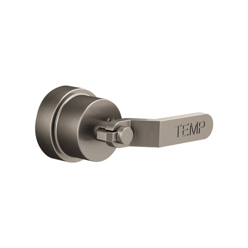Litze Valve Trim with Handle and Mixing Cartridge, Industrial Lever, Luxe Nickel