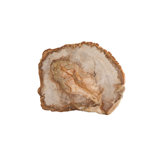 Petrified Slice Cheese Board & Platter