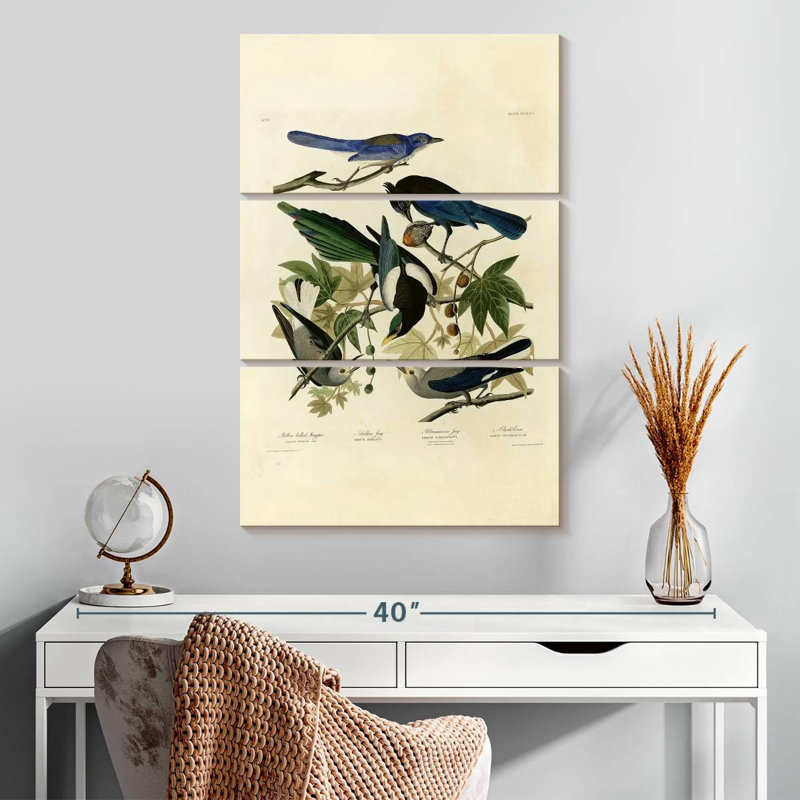 Assiette Brampt 362 d'oiseaux d'Amérique, H 32 po x l 20 po