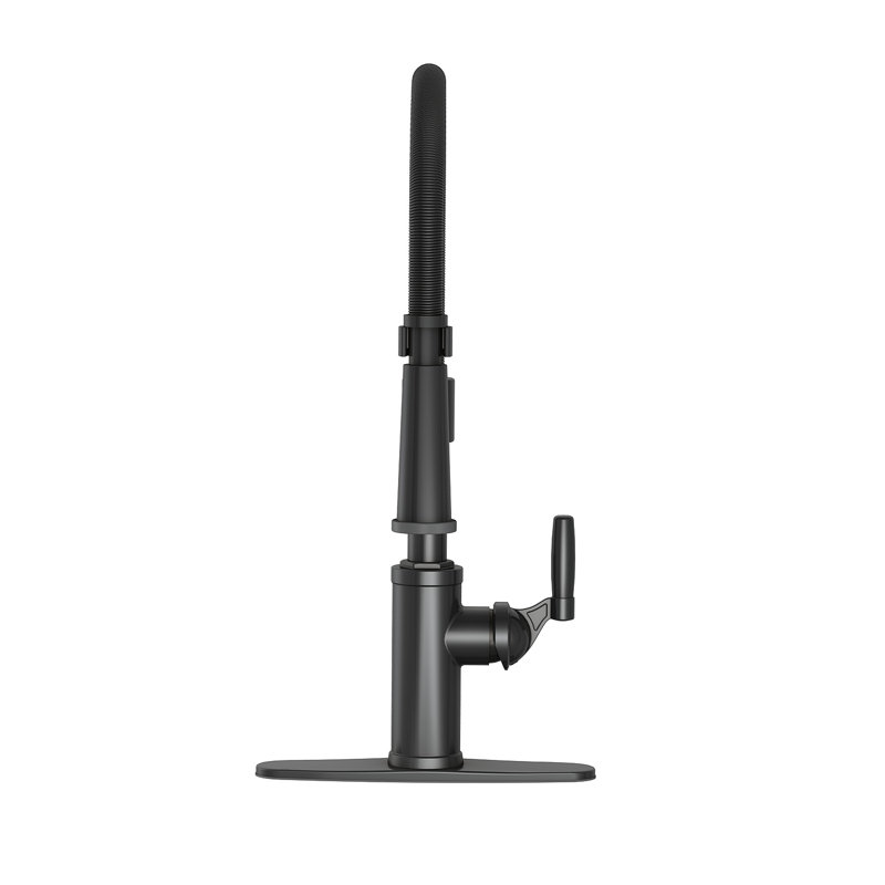 Robinet de cuisine Vetta, Noir mat