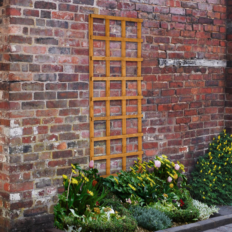 183cm H Wood Lattice Panel Trellis, 183cm H x 61cm W, Golden brown