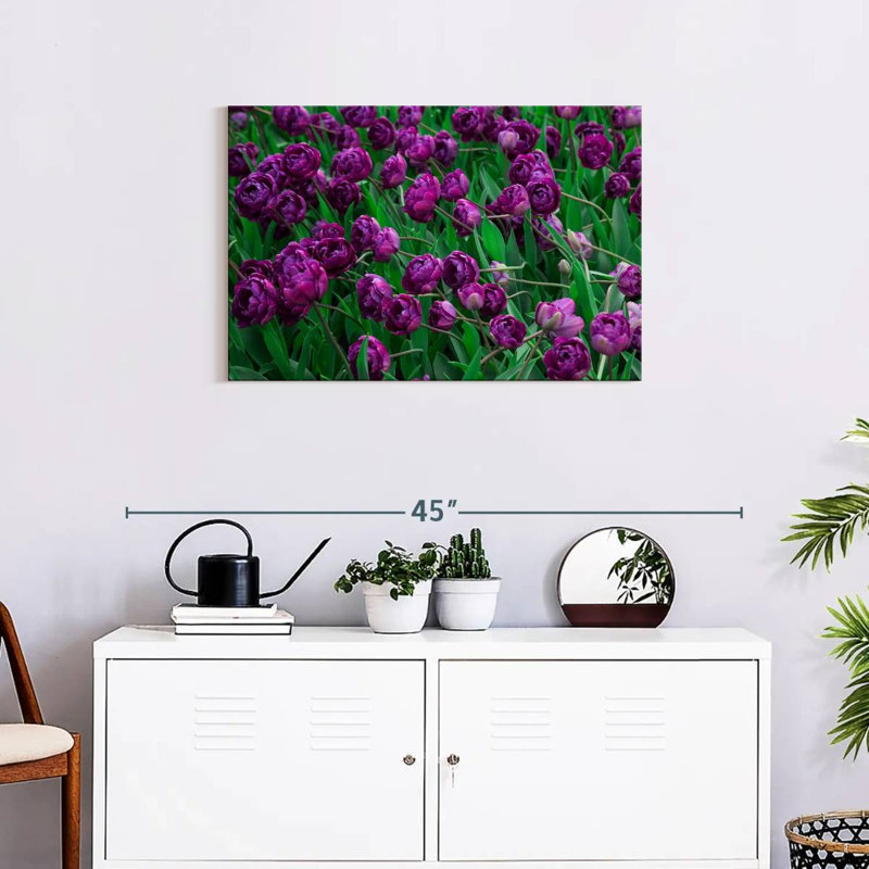 Tulipes violettes Alvord, H 20 po x l 30 po
