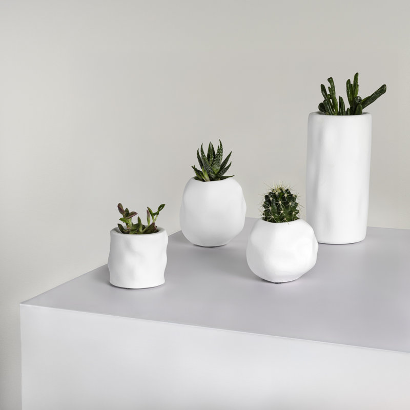 Linden, Matte White