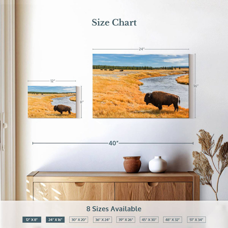Brampt National Park Bison, 16" H x 24" W