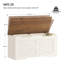 Accent Chest-823438109