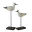 Statues d'oiseaux côtiers - ensemble de 2