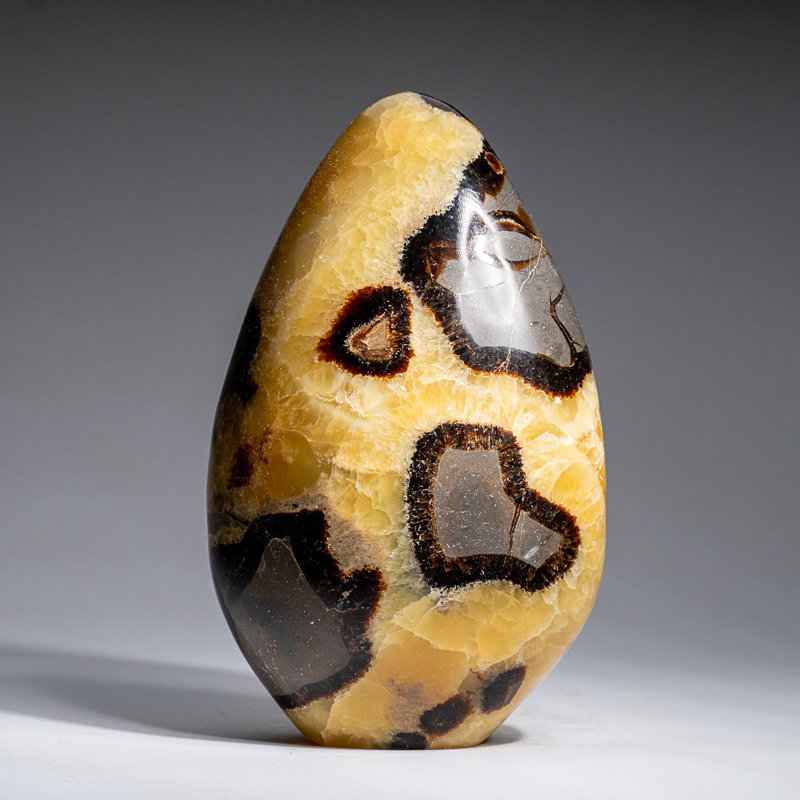 Polished Septarian Freeform from Madagascar (2.7 Lbs)