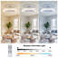 10cm Ceiling Fan