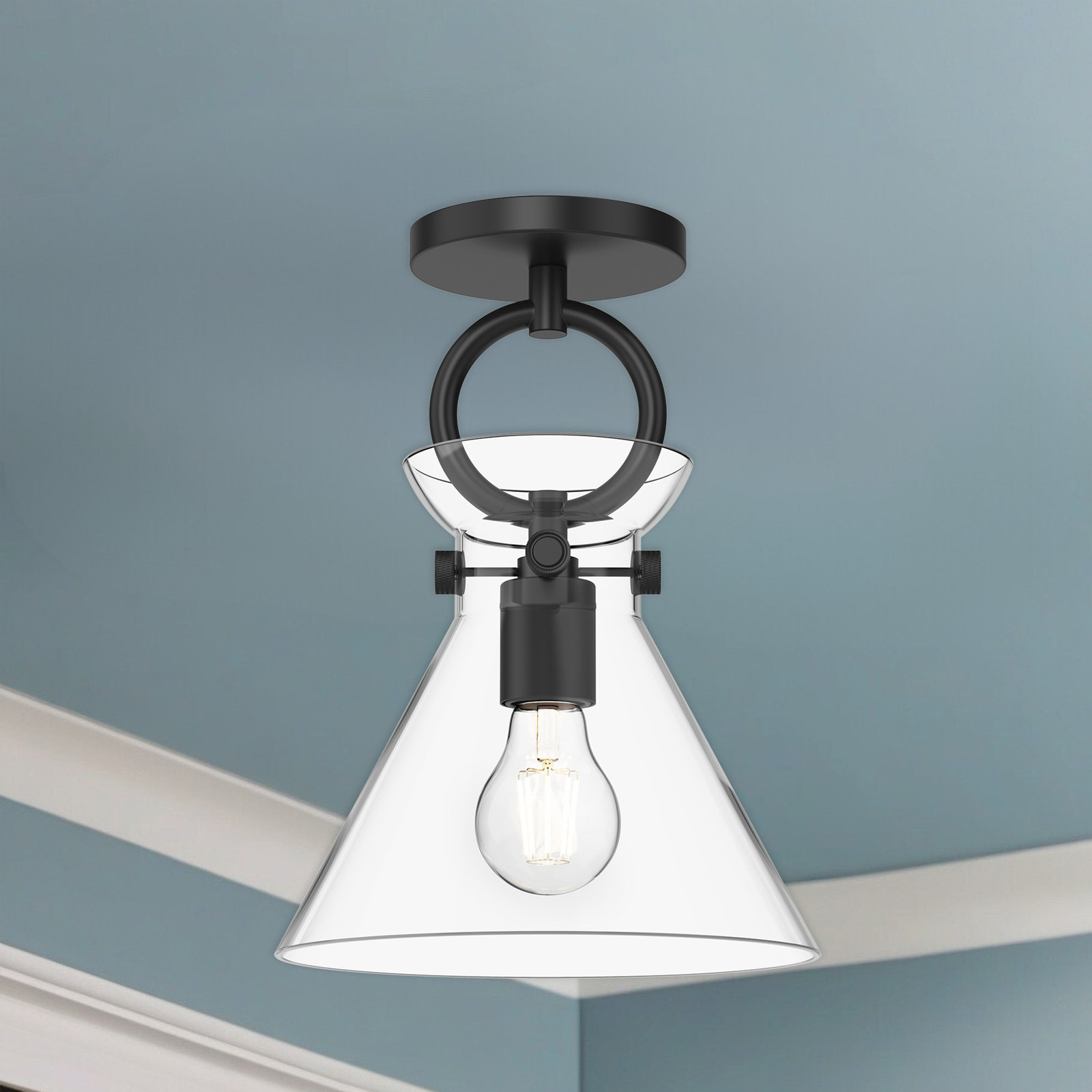 Tiney Single Light Glass Semi Flush Mount, Matte Black, Clear