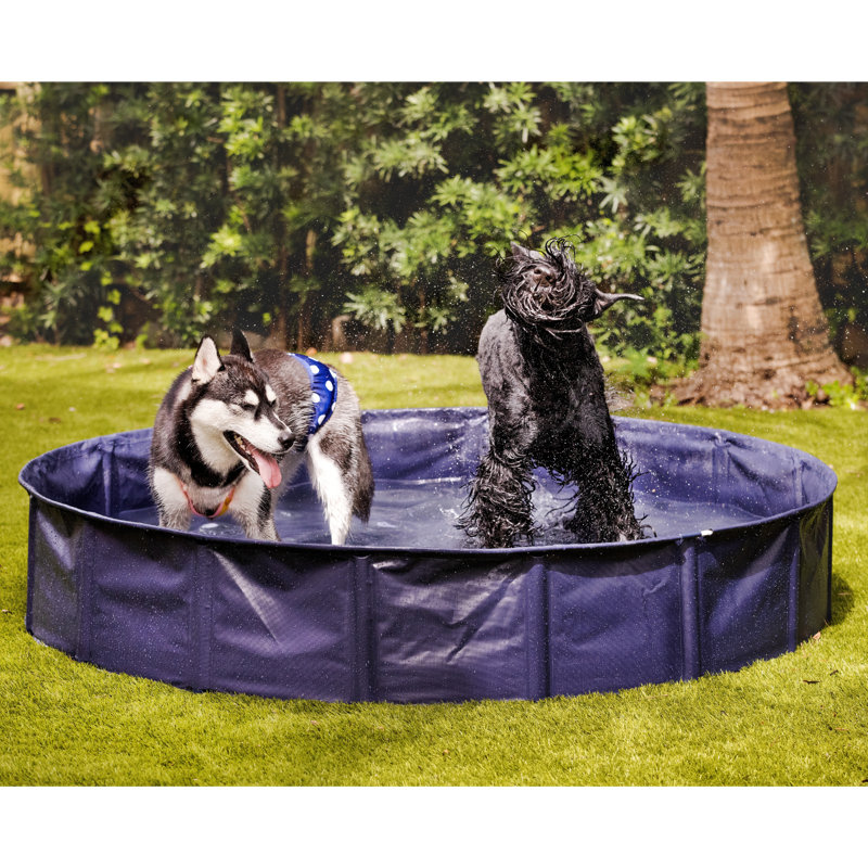 Midlee Dog Pool