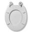 Flexi-Fix Round Hard Toilet Seat-116653006