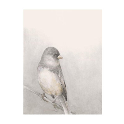 Sketch Bird Print by Sara Brown