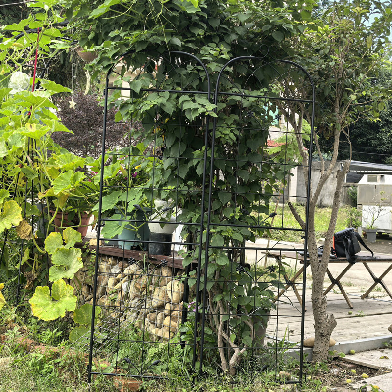 Treillis de jardin en métal