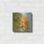 «Blooming Succulent II» par Carol Rowan, art mural en métal-440863029