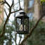 10.25'' Battery Powered Outdoor Lantern