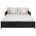 Black Frame/Light Gray Cushion