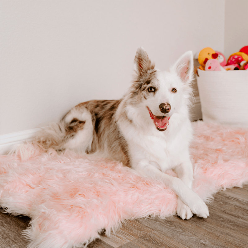  Tapis orthopédique pour chien en fausse fourrure Puprug, Grand (l 50 po x P 30 po x H 7 po), Noir