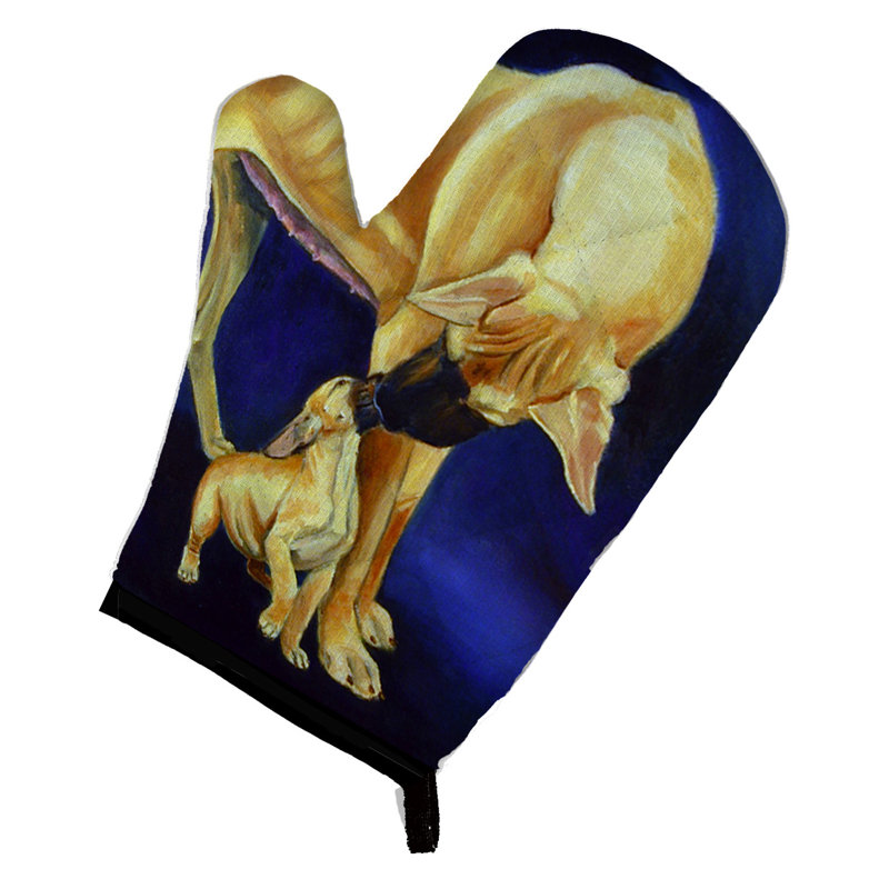 Red Barrel Studio® Polyester Oven Mitt