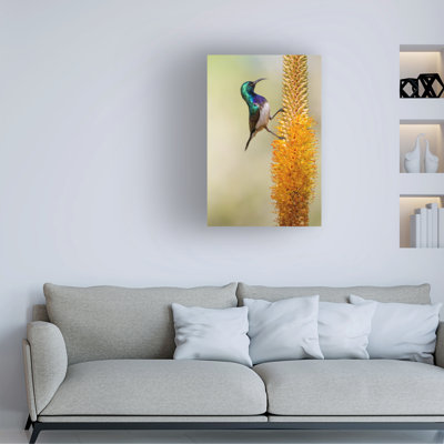 Alessandro Catta Flower Climbing Canvas Art