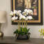Orchid Floral Arrangement in Planter-249749295-249749281-249749292