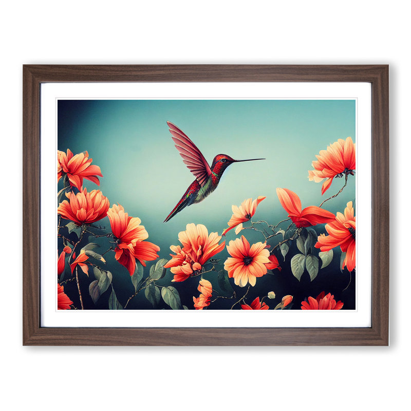 Superb Floral Hummingbird - Framed Print, 46cm H x 64cm W x 2cm D, Walnut Framed