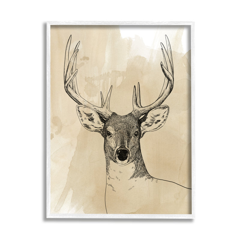 Illustration d'un animal sauvage, forêt, animalier, aquarelle, Giclée encadrée blanc bord de mer