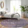 Machine Washable Indoor/Outdoor Cicel ACN1152 Eggplant Rug