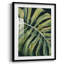 Nosturnal Monstera I-600300918-600300917