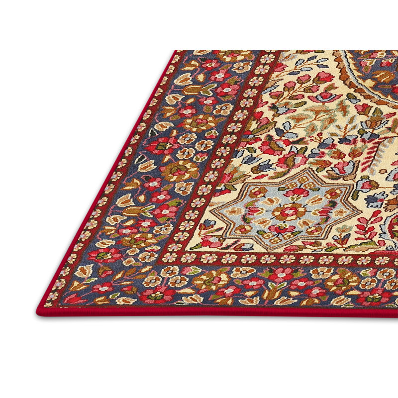 Tapis de style oriental rouge, Rectangle 6 pi x 9 pi