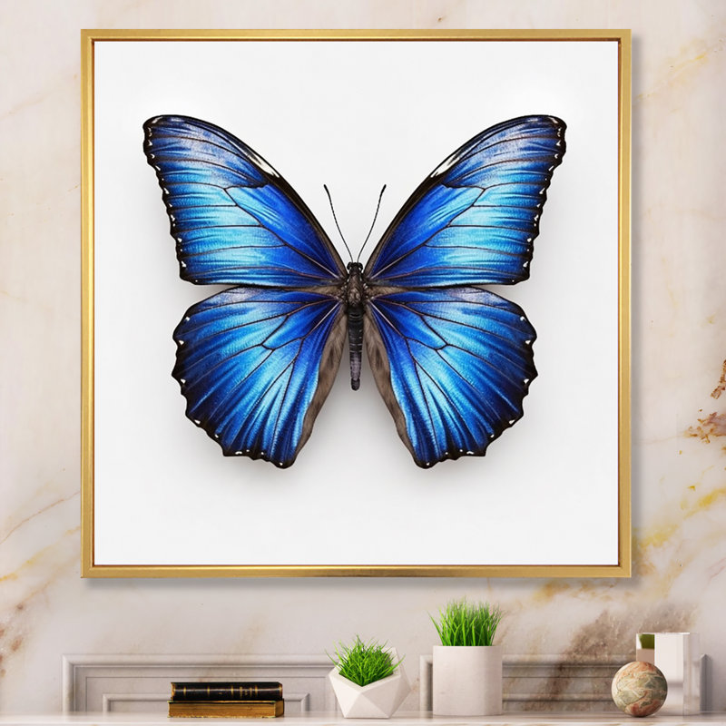 «Vibrant Blue Butterfly II» - art mural papillon, 34" H x 44" W, Cadre flottant doré