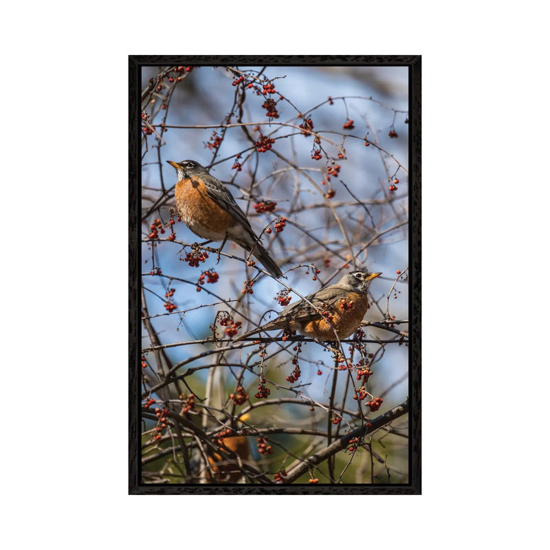 Spring Robins 1 Piece Wall Art on Canvas, 101.6 cm H x 66.04 cm W, Black Framed