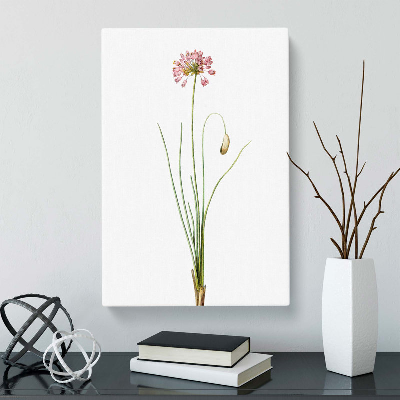 Autumn Onion Flowers by Pierre-Joseph Redoute - Wrapped Canvas Painting Pint - Wrapped Canvas, 60cm H x 40cm W x 3cm D
